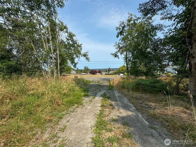 a view of a yard with trees