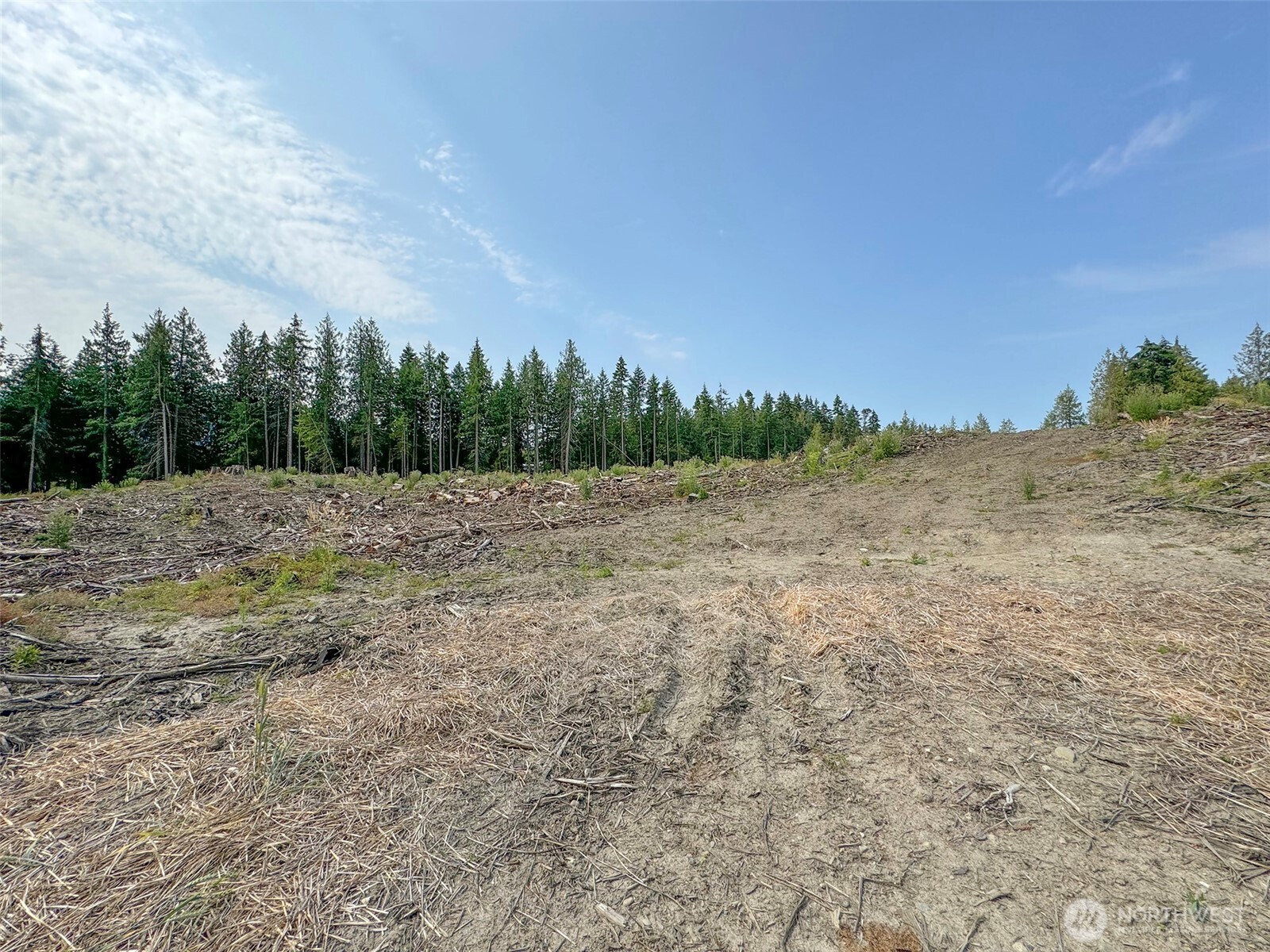319 Reservoir Road Sequim, WA 98382 - Photo 29 of 38 a view of a field with trees in background