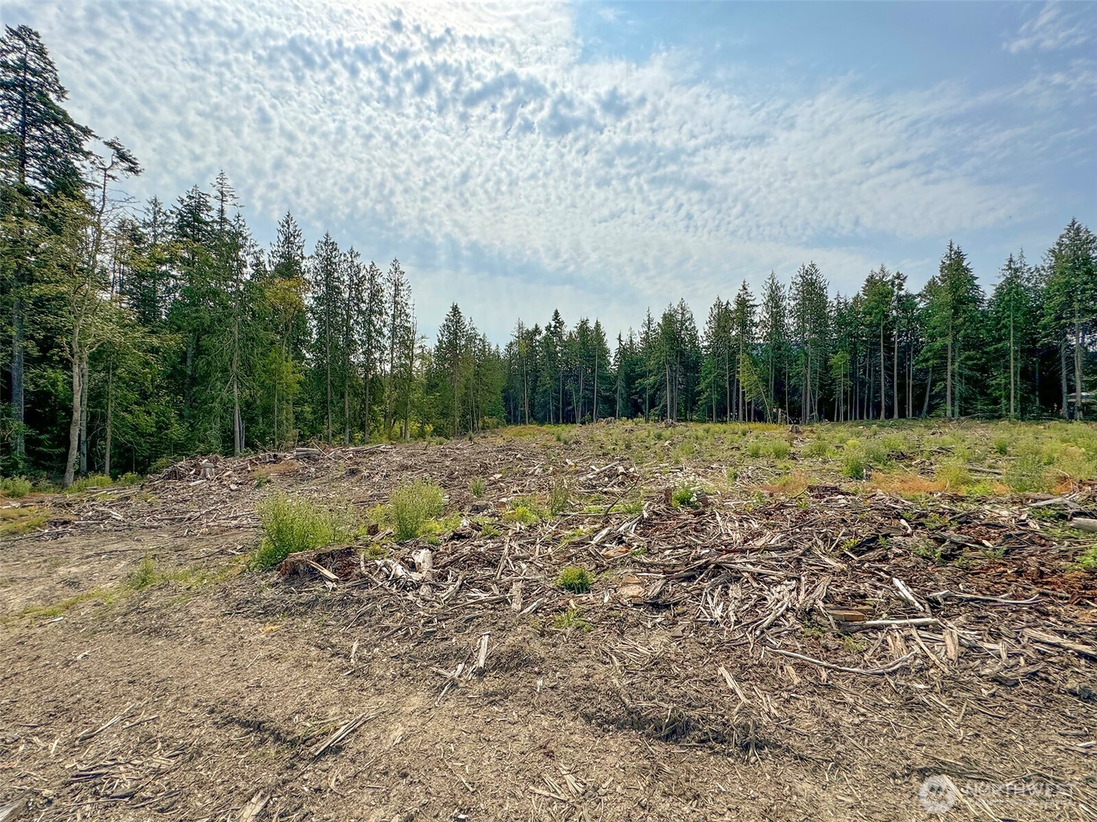 319 Reservoir Road Sequim, WA 98382 - Photo 30 of 38 a view of outdoor space with trees