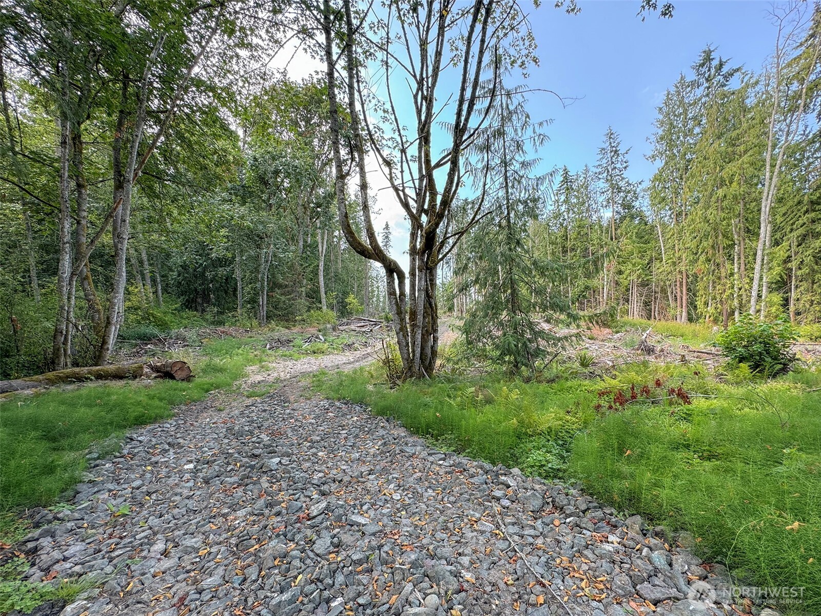 319 Reservoir Road Sequim, WA 98382 - Photo 35 of 38 a view of backyard with green space