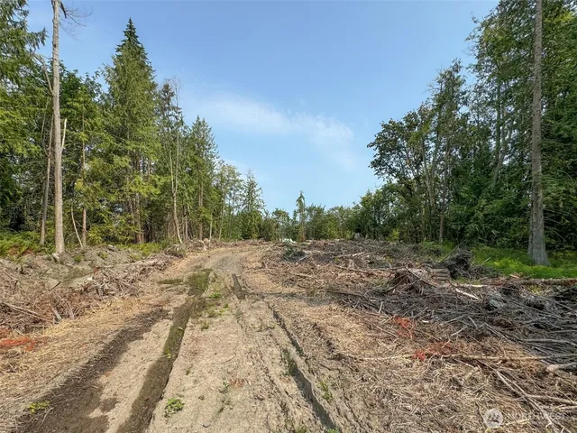 a view of a field with trees in background