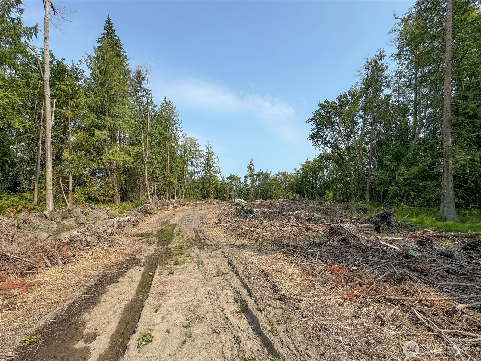 319 Reservoir Road Sequim, WA 98382 - Photo 6 of 38 a view of a yard