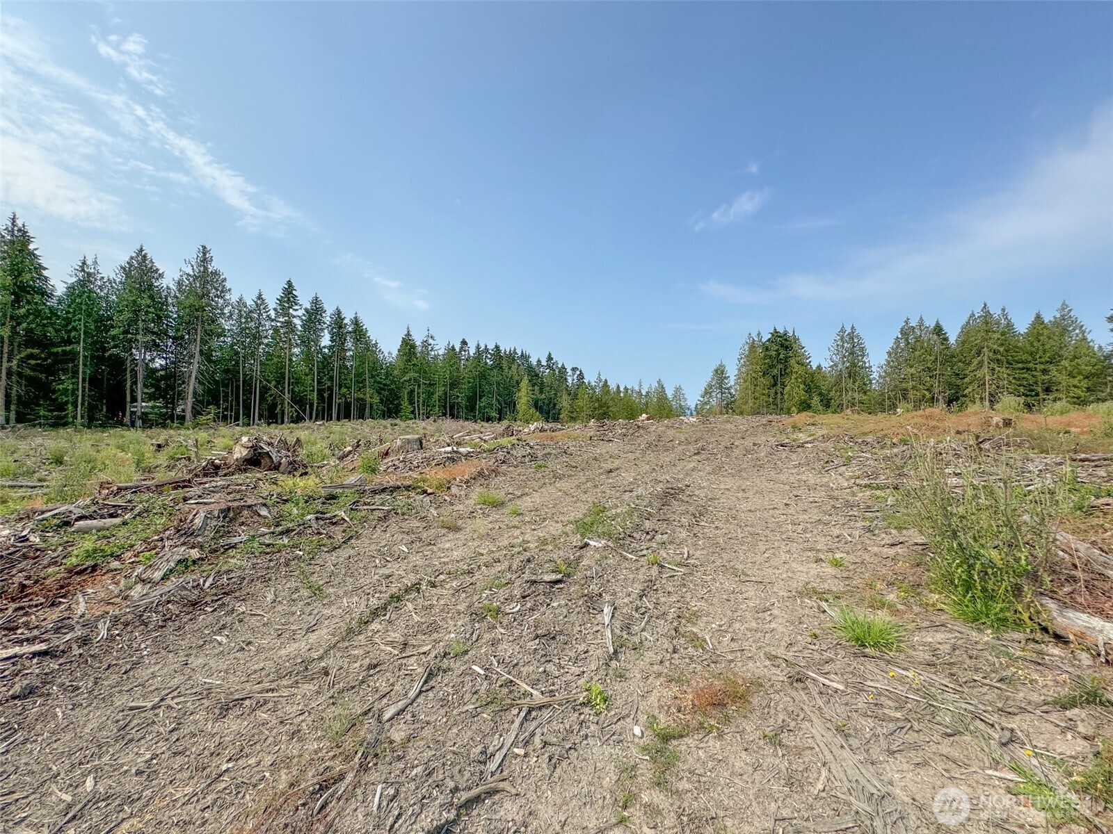 319 Reservoir Road Sequim, WA 98382 - Photo 7 of 38 a view of a field with trees in background