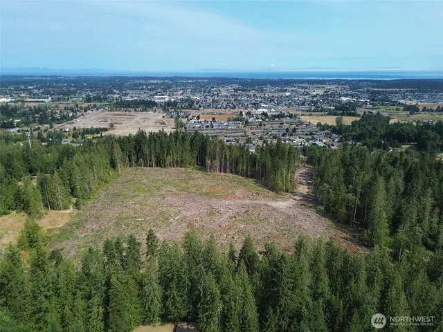 a view of outdoor space and green space