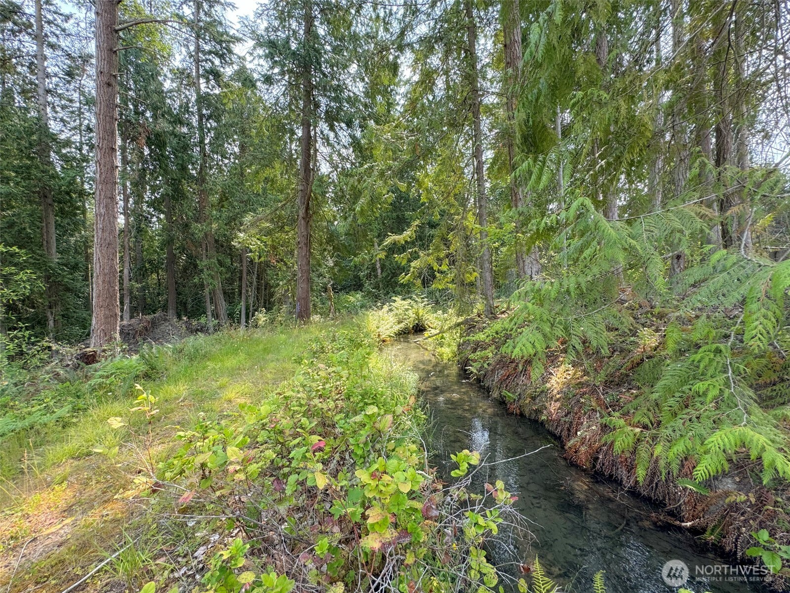 319 Reservoir Road Sequim, WA 98382 - Photo 9 of 38 a view of outdoor space and green space