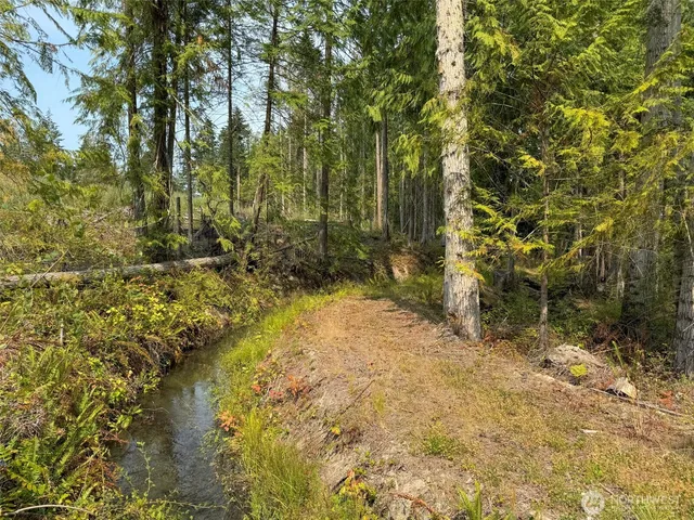 a view of outdoor space with trees all around