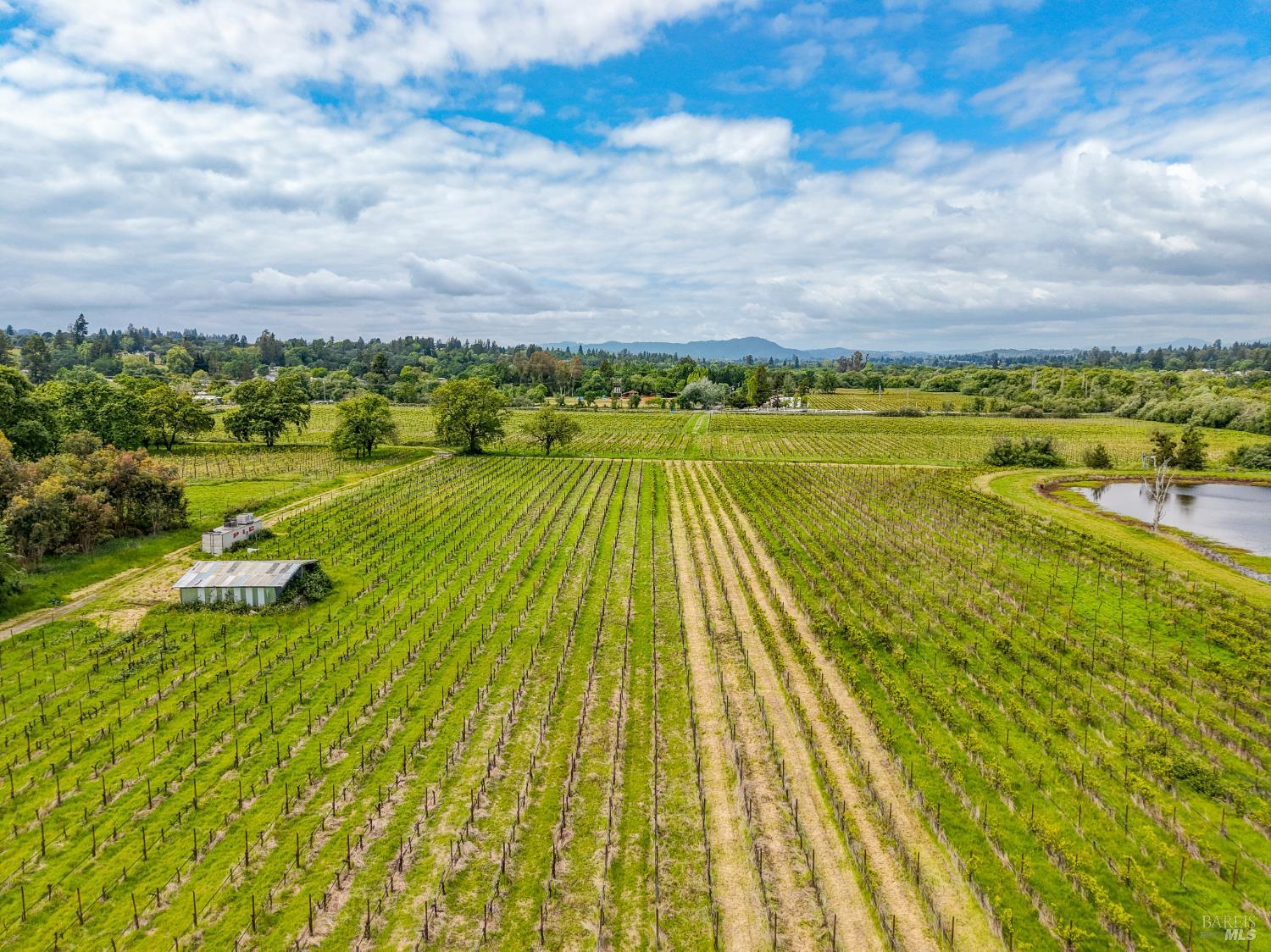 9700 Mill Station Road Sebastopol, CA 95472 - Photo 12 of 50