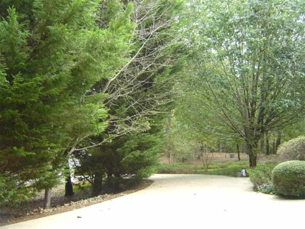 303 Cleveland Ferry Road Fair Play, SC 29643 - Photo 10 of 24 Gallery Image 10