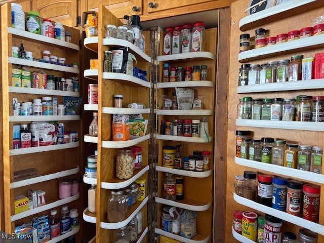 9936 Hoose Road Mentor, OH 44060 - Photo 10 of 43 Built-in pantry. Additional Storage Behind Spices.