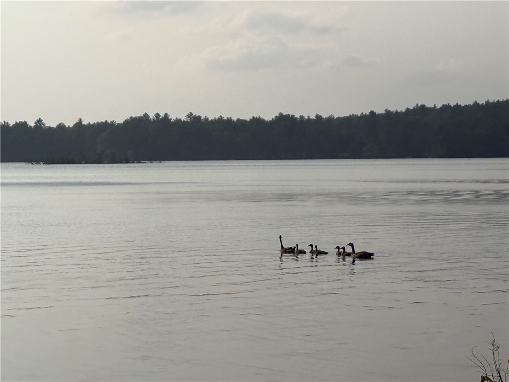 2267 Putnam Pike Glocester, RI 02814 - Photo 4 of 19