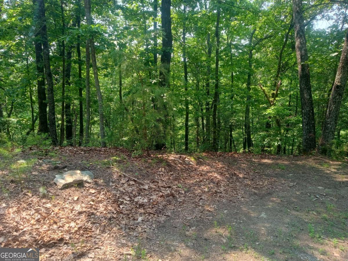 1227 Hilton Drive, Unit 1227 Ranger, GA 30734 - Photo 1 of 18 a view of a yard with large trees