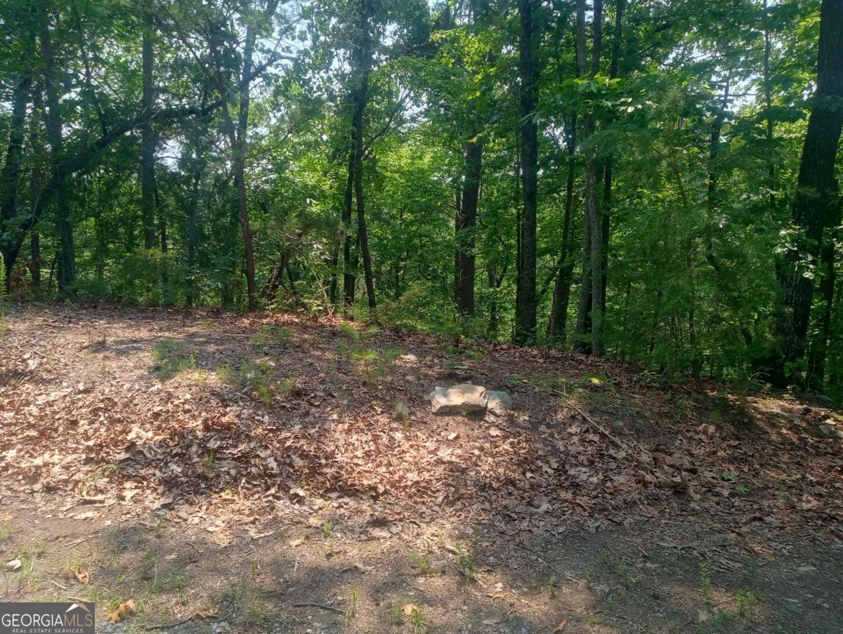 1227 Hilton Drive, Unit 1227 Ranger, GA 30734 - Photo 11 of 18 a view of a forest with trees in the background