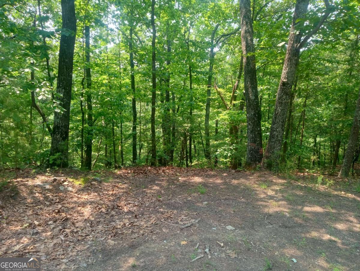 1227 Hilton Drive, Unit 1227 Ranger, GA 30734 - Photo 12 of 18 a view of outdoor space with trees