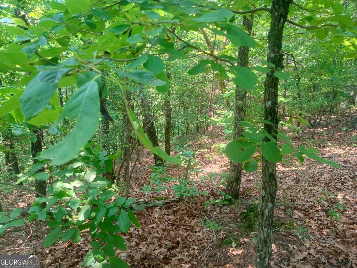 1227 Hilton Drive, Unit 1227 Ranger, GA 30734 - Photo 14 of 18 a plant view