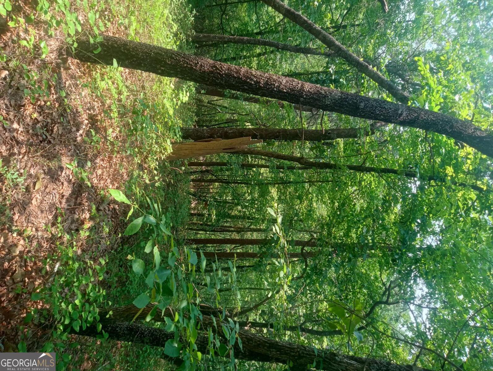 1227 Hilton Drive, Unit 1227 Ranger, GA 30734 - Photo 16 of 18 a backyard of a house with lots of green space