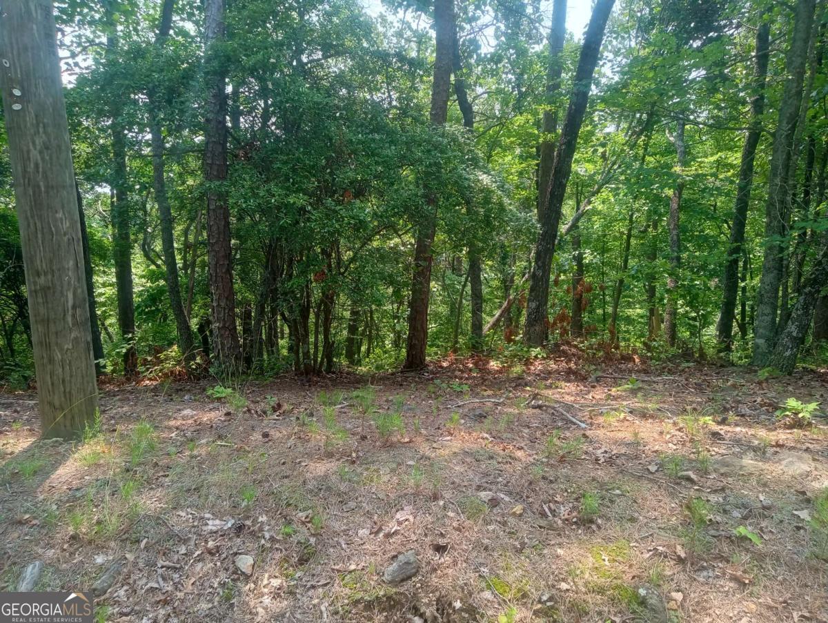 1227 Hilton Drive, Unit 1227 Ranger, GA 30734 - Photo 17 of 18 a view of a forest with trees in the background