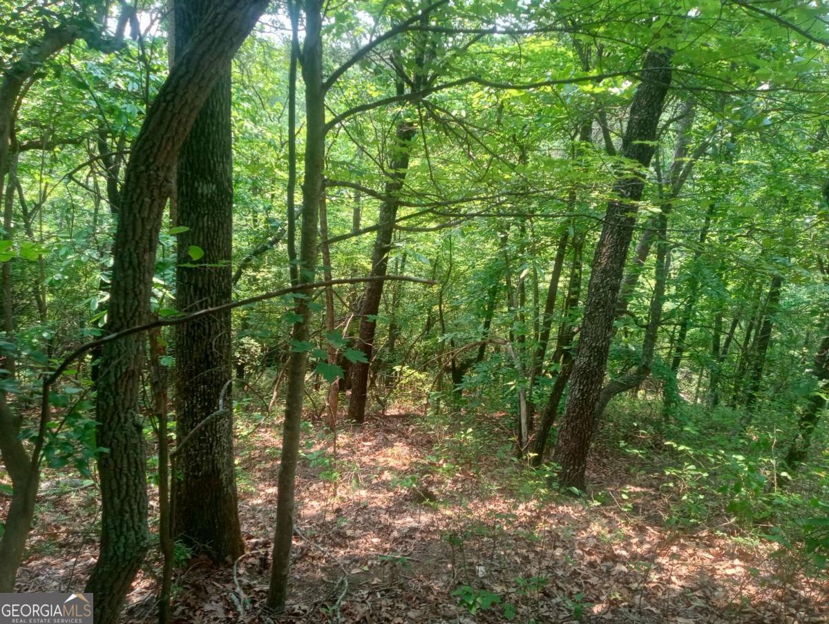 1227 Hilton Drive, Unit 1227 Ranger, GA 30734 - Photo 3 of 18 a view of a forest with trees