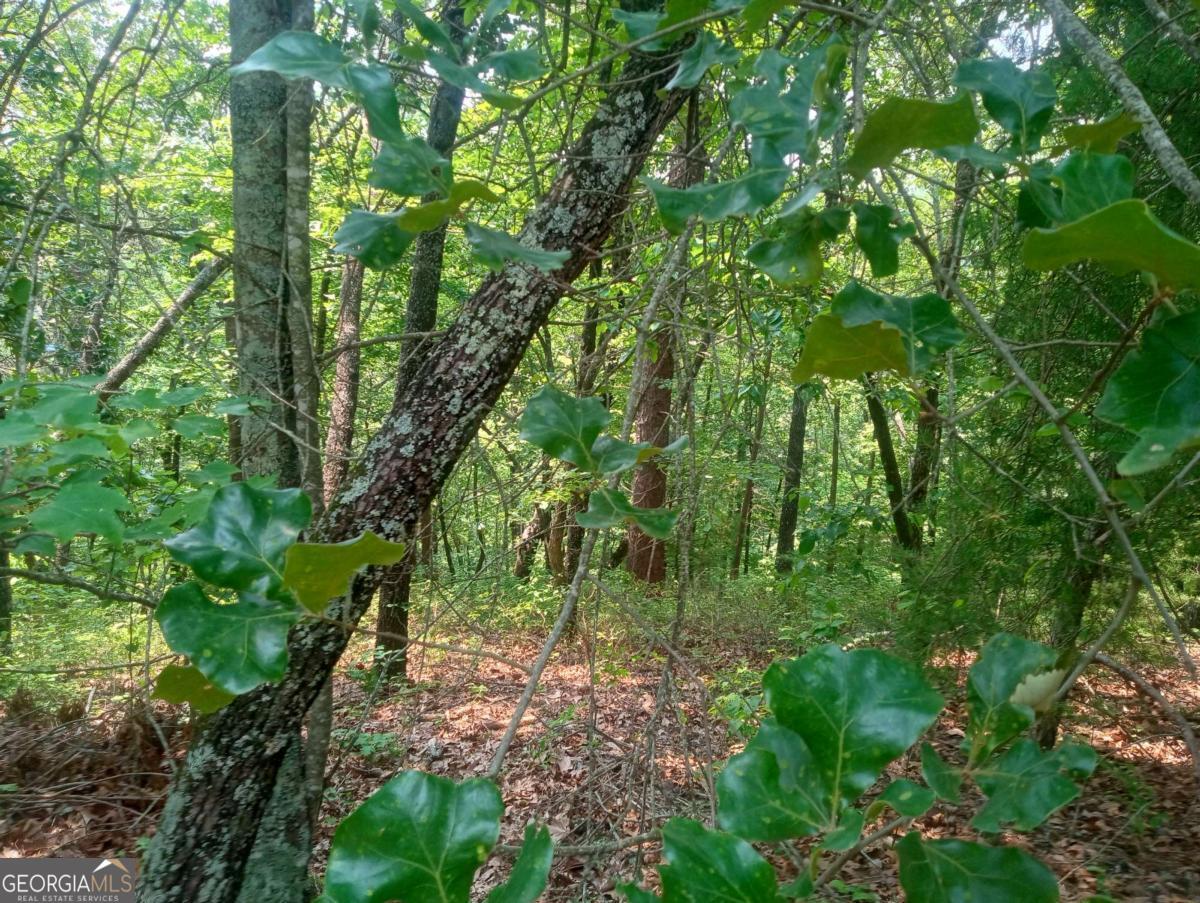 1227 Hilton Drive, Unit 1227 Ranger, GA 30734 - Photo 4 of 18 a backyard of a house with lots of swings
