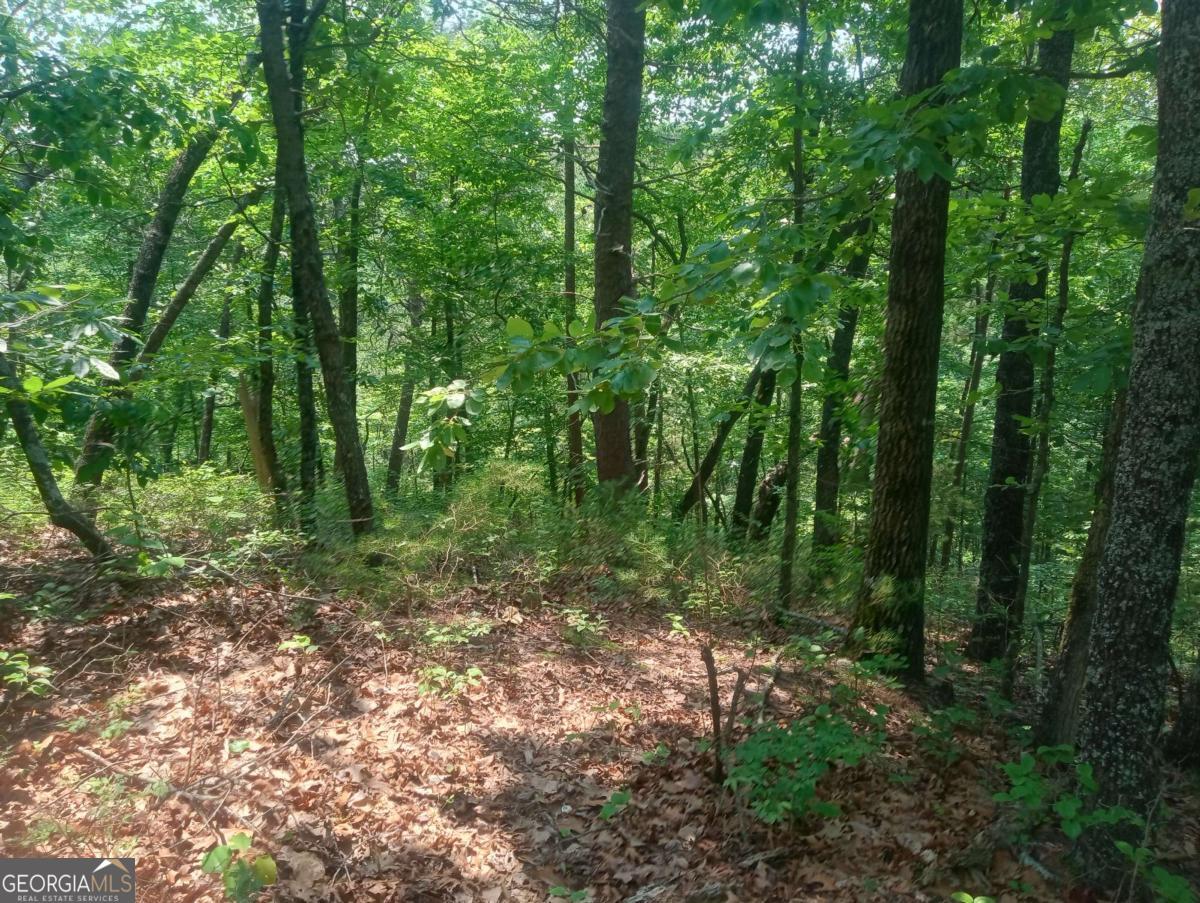 1227 Hilton Drive, Unit 1227 Ranger, GA 30734 - Photo 5 of 18 a view of a lush green forest