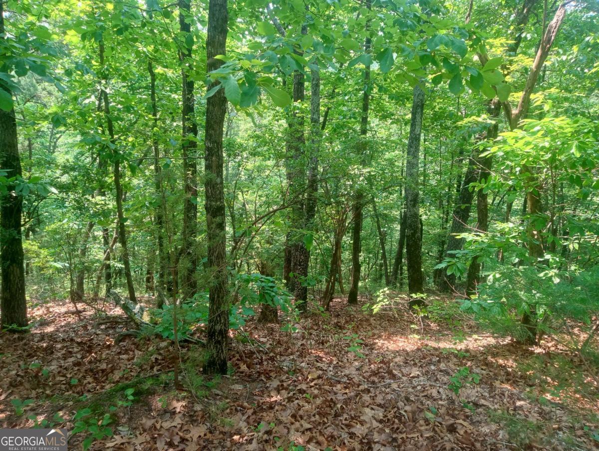 1227 Hilton Drive, Unit 1227 Ranger, GA 30734 - Photo 6 of 18 a view of outdoor space and green space