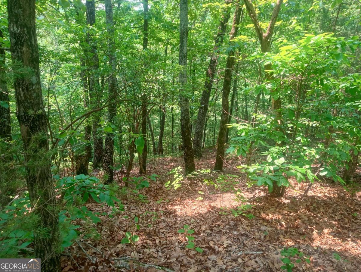 1227 Hilton Drive, Unit 1227 Ranger, GA 30734 - Photo 9 of 18 a view of outdoor space and trees