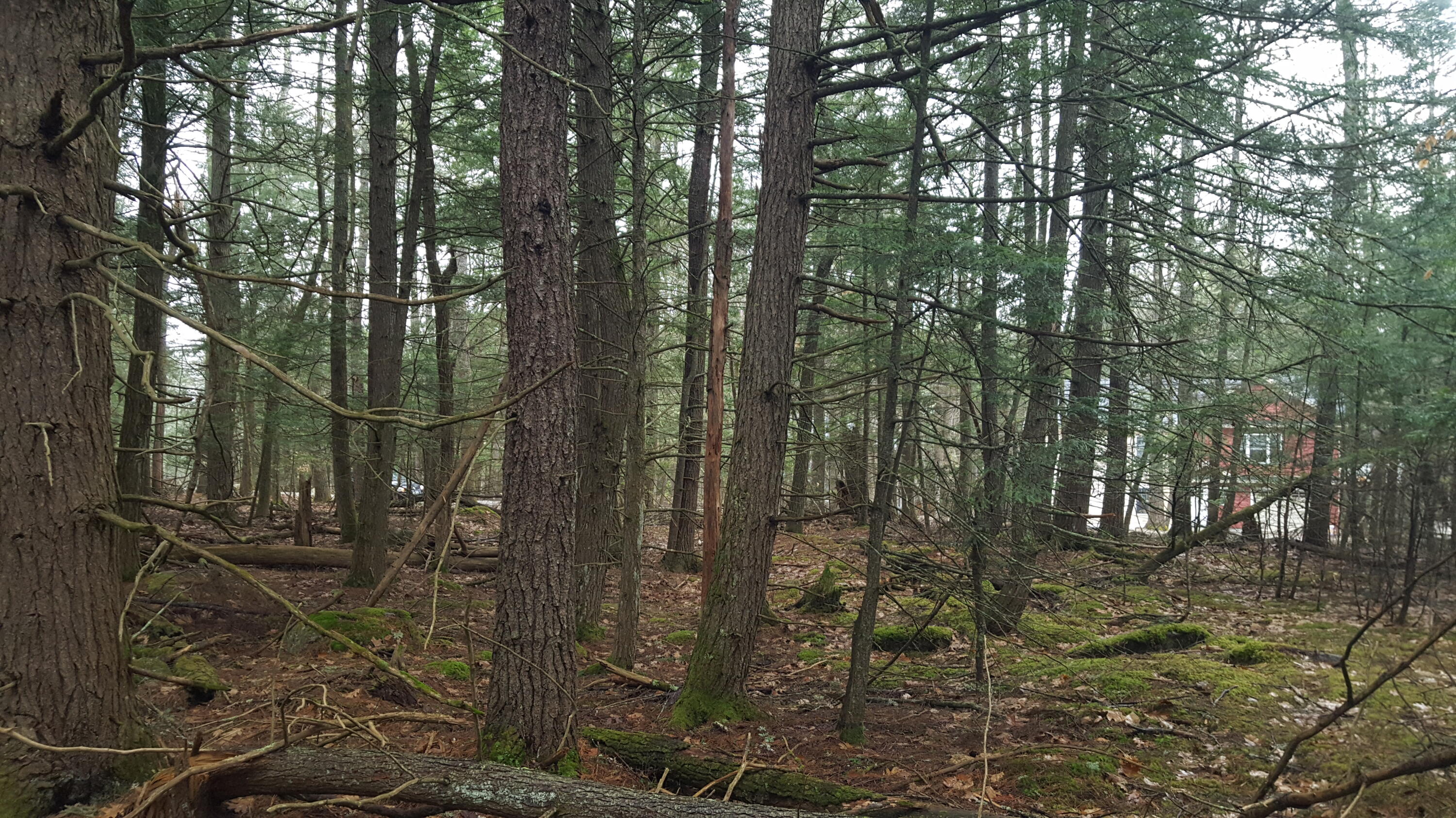 53 Johnson Road Windham, ME 04062 - Photo 15 of 22