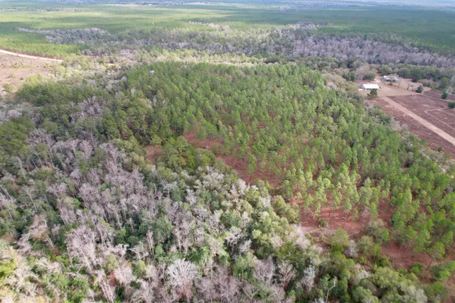 $265,000 | 910 Boykin Road, Quincy, FL 32351