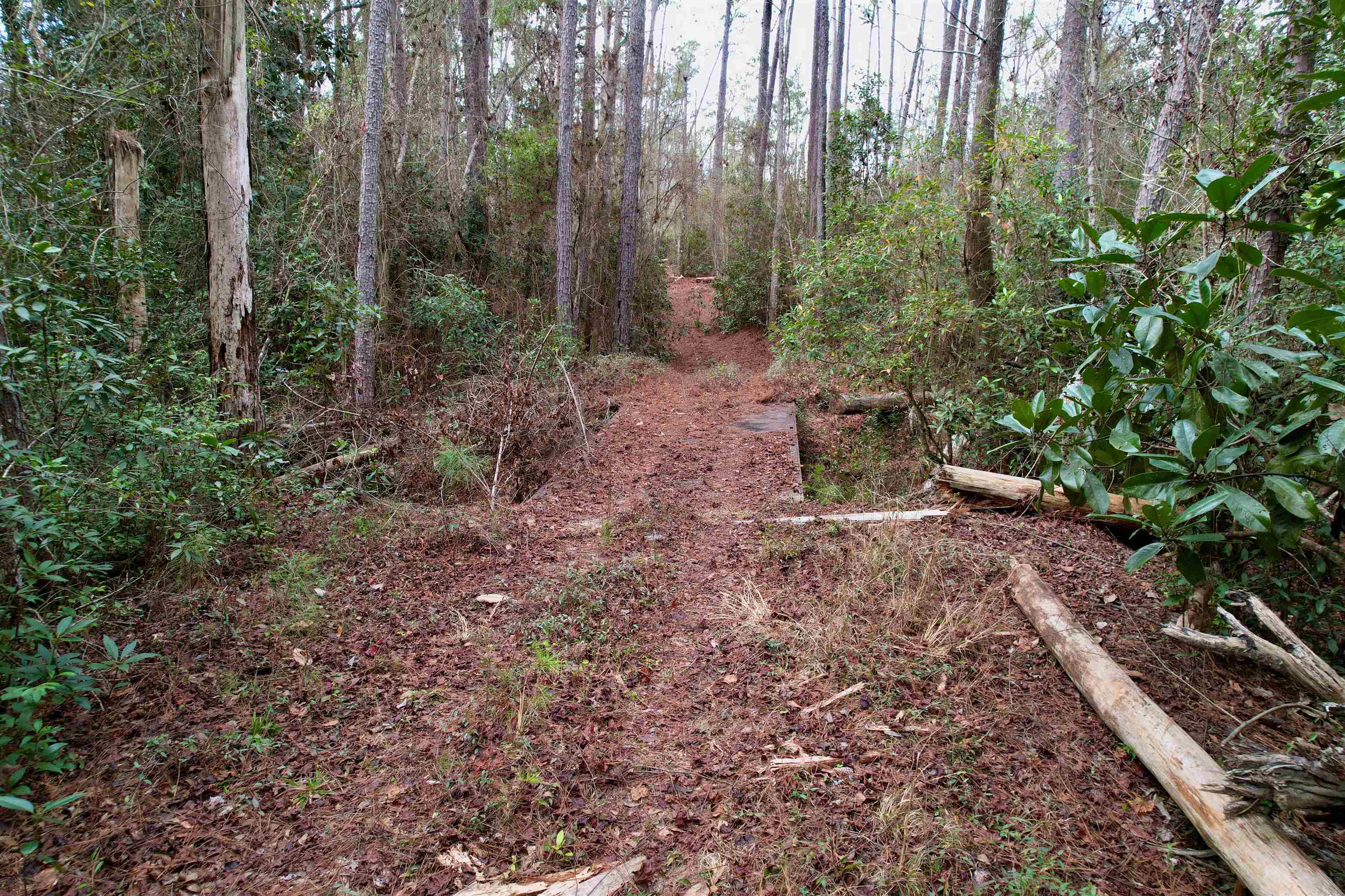 910 Boykin Road Quincy, FL 32351 - Photo 20 of 42 Gallery Image 20