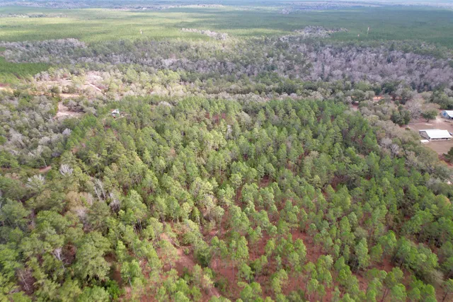 $265,000 | 910 Boykin Road, Quincy, FL 32351