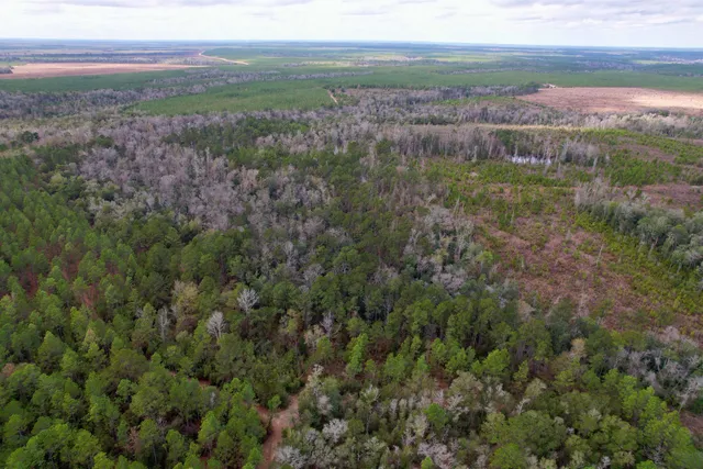 $265,000 | 910 Boykin Road, Quincy, FL 32351