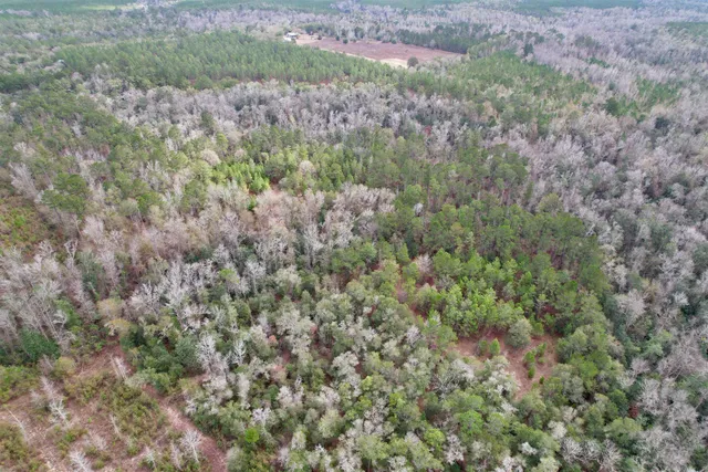 $265,000 | 910 Boykin Road, Quincy, FL 32351