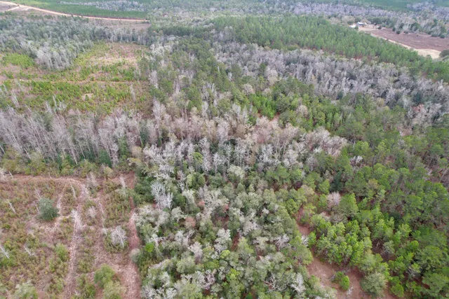 $265,000 | 910 Boykin Road, Quincy, FL 32351