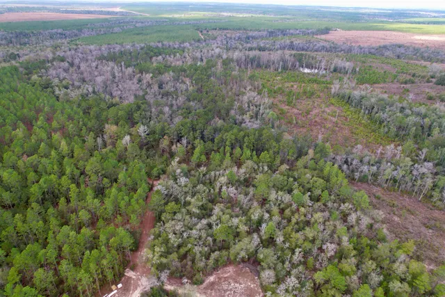 $265,000 | 910 Boykin Road, Quincy, FL 32351