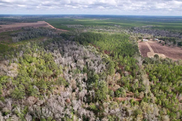 $265,000 | 910 Boykin Road, Quincy, FL 32351