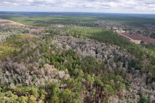 $265,000 | 910 Boykin Road, Quincy, FL 32351