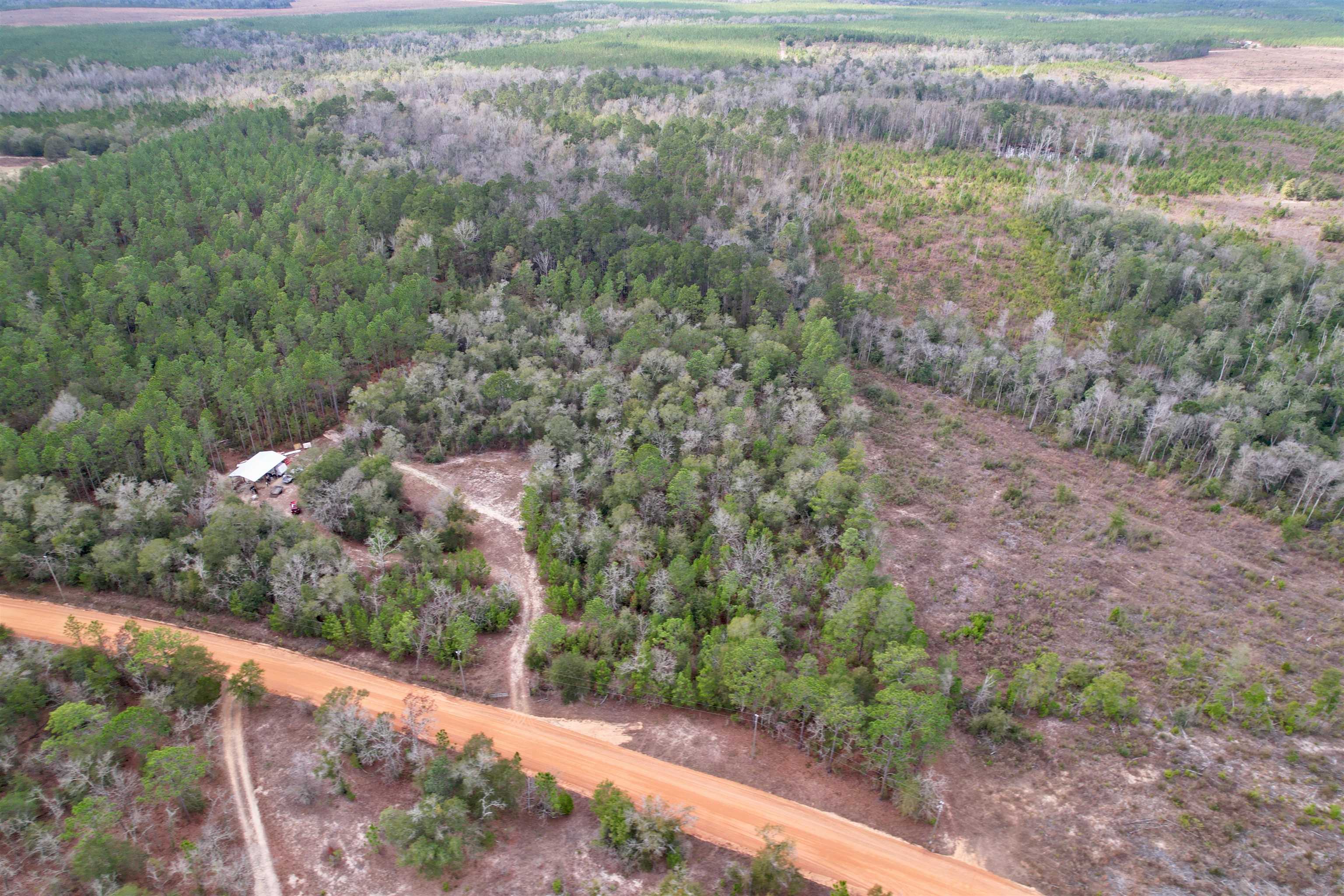 910 Boykin Road Quincy, FL 32351 - Photo 35 of 42 Gallery Image 35