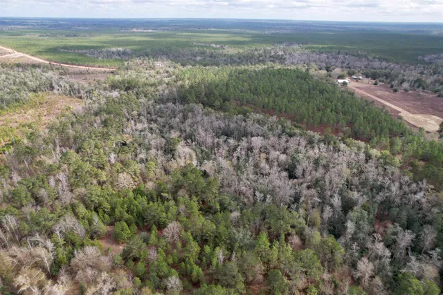 $265,000 | 910 Boykin Road, Quincy, FL 32351