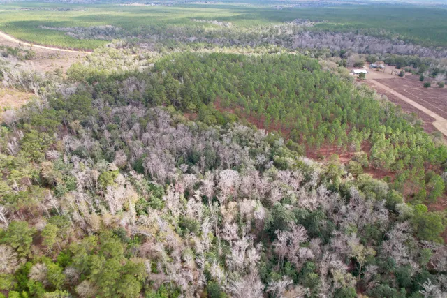 $265,000 | 910 Boykin Road, Quincy, FL 32351