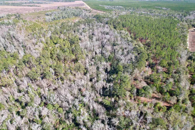 $265,000 | 910 Boykin Road, Quincy, FL 32351