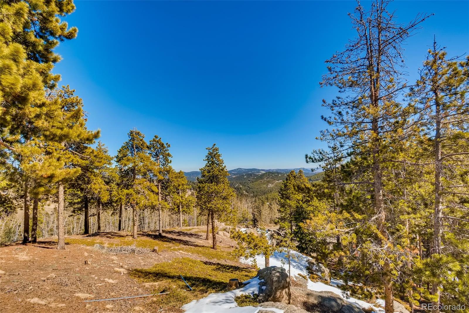 27732 Squaw Pass Road Evergreen, CO 80439 - Photo 37 of 38 a view of a yard with a tree