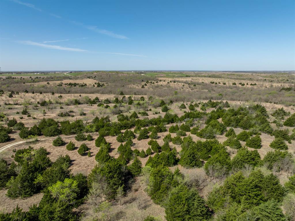 843 Lake Ridge Road Italy, TX 76651 - Photo 3 of 22 Gallery Image 3