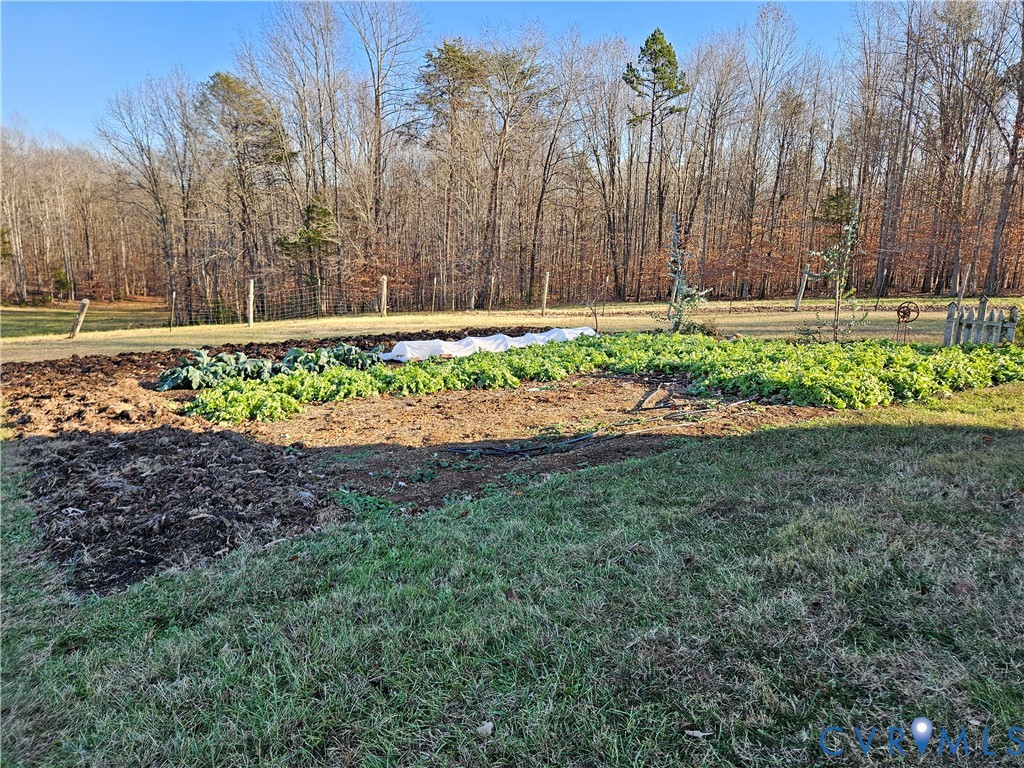 3814 South Constitution Route Dillwyn, VA 23936 - Photo 21 of 42 a view of a yard with large trees