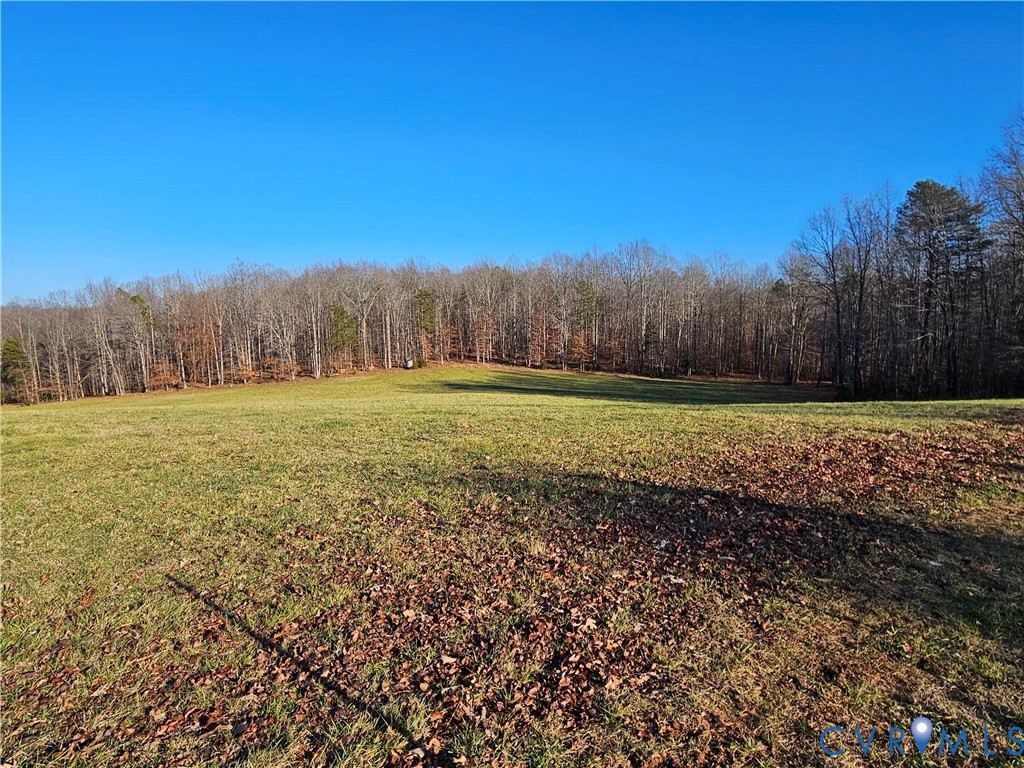 3814 South Constitution Route Dillwyn, VA 23936 - Photo 33 of 42 a view of a grassy field with trees in the background