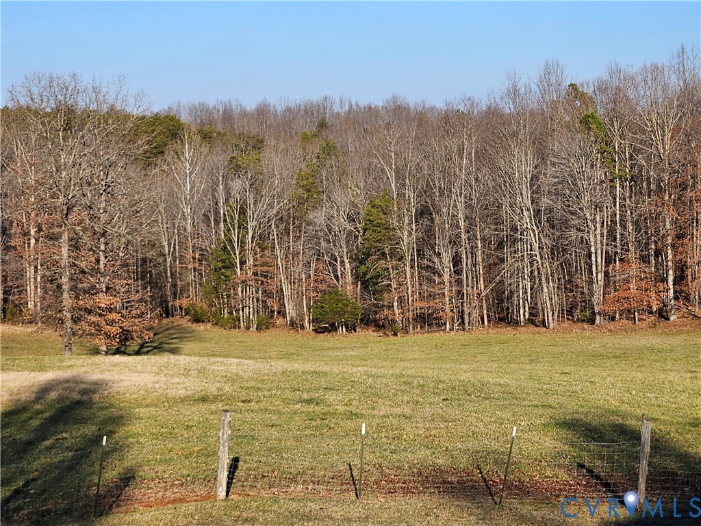 3814 South Constitution Route Dillwyn, VA 23936 - Photo 37 of 42 a view of pool with trees