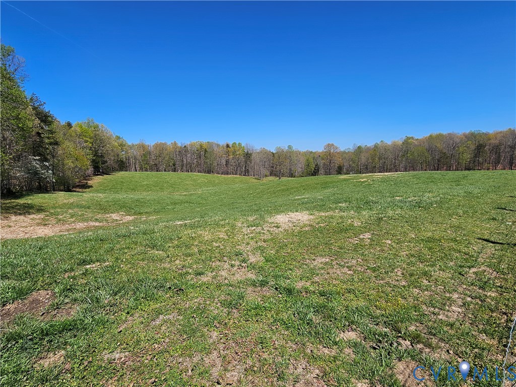 3814 South Constitution Route Dillwyn, VA 23936 - Photo 4 of 49 a view of an outdoor space and a yard
