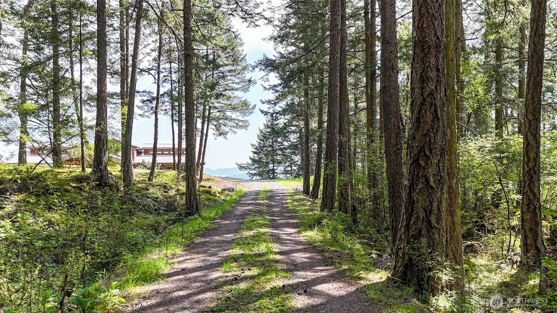 726 Pine Ridge Drive Orcas Island, WA 98280 - Photo 4 of 40 a view of yard with green space and trees