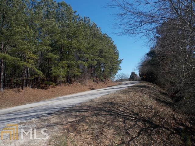 0 Mt Pleasant Road Franklin, GA 30217 - Photo 1 of 1