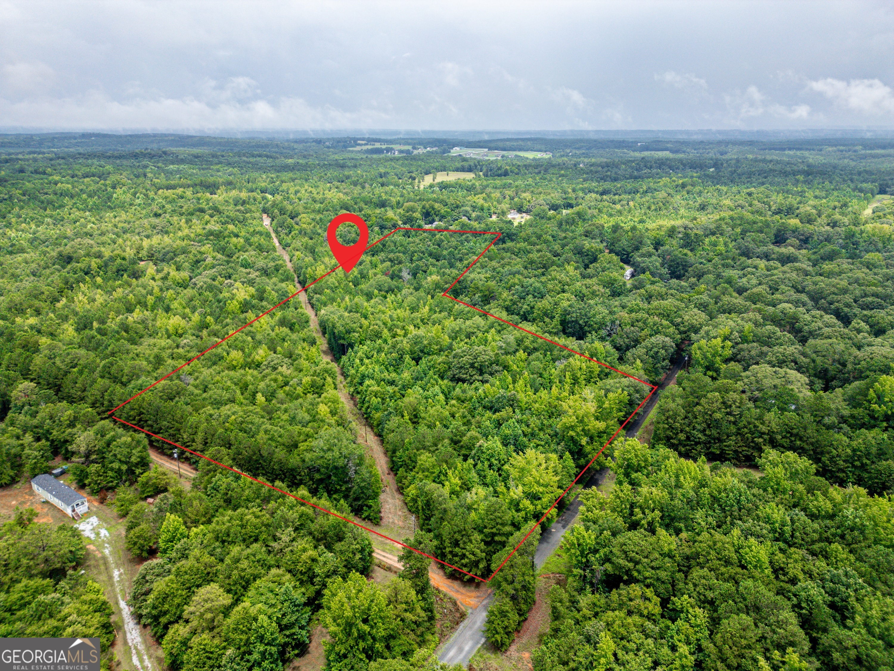 a view of a lush green forest with a lake and trees