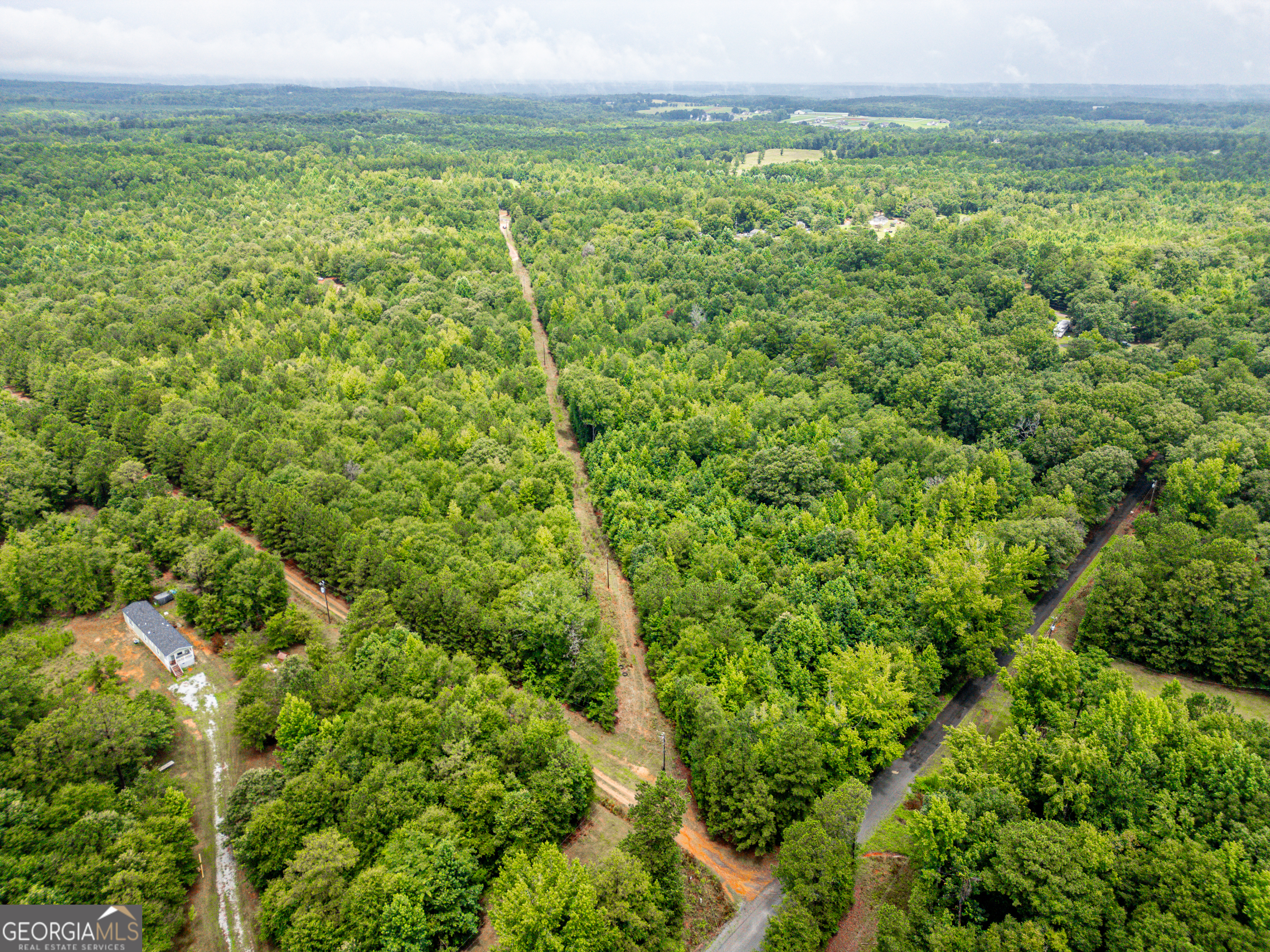 0 Zellner Road Forsyth, GA 31029 - Photo 2 of 6 a view of a field with an ocean