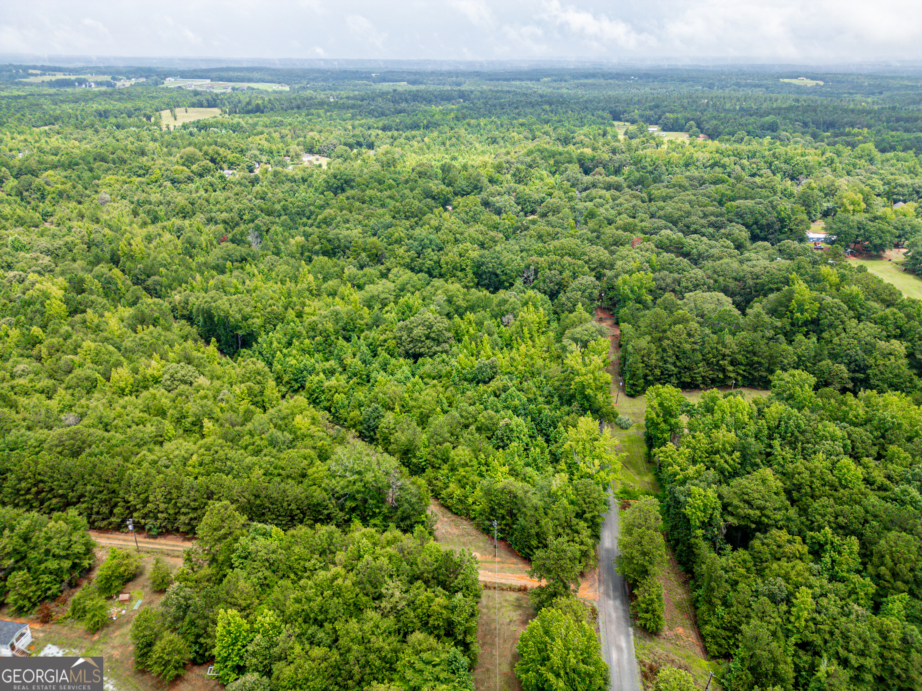 0 Zellner Road Forsyth, GA 31029 - Photo 3 of 6 a view of a green field